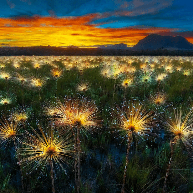 9 ans de collaboration