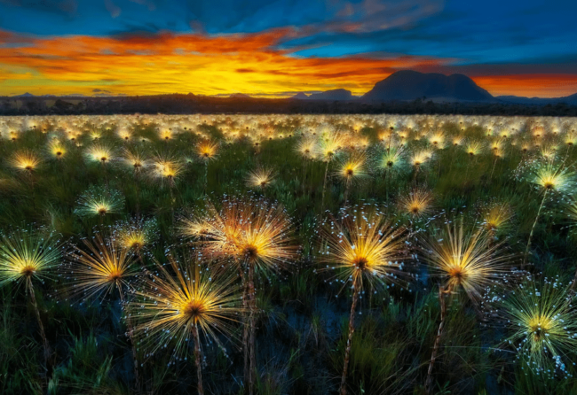 9 ans de collaboration 9 ans de collaboration